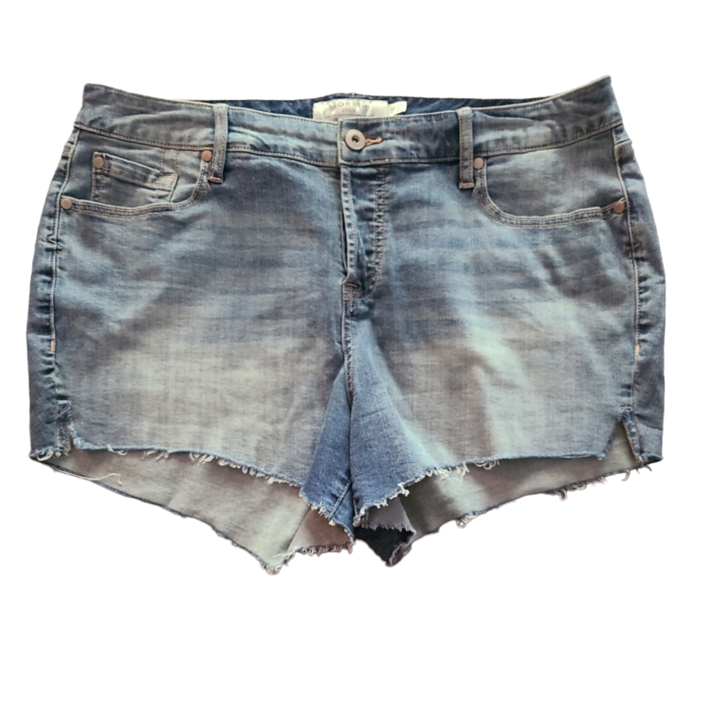 Torrid Distressed Cut off Denim Medium Wash Jean Shorts Sz 16